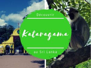 Kataragama et ses singes