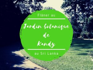 Le jardin botanique de Kandy