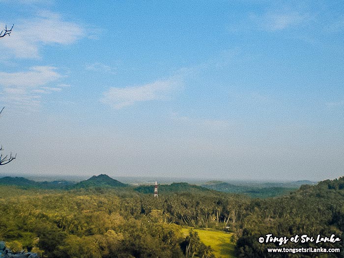 vue campagne sri lankaise