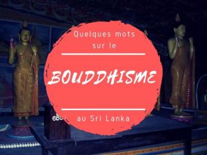 Le bouddhisme au Sri Lanka