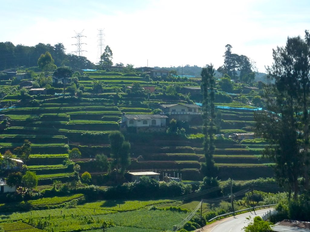 collines montagnes sri lanka