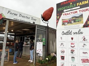 ferme de fraises au sri lanka tour de tracteur