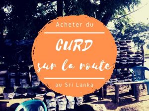 Acheter du curd sur la route au Sri Lanka