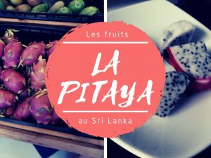 Pitaya fruit du dragon au Sri Lanka