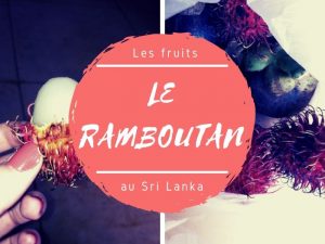 Les ramboutans au Sri Lanka