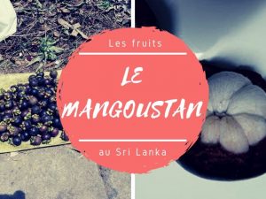 Fruits bizarres Mangoustan au Sri Lanka