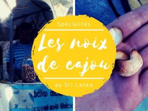Spécialité les noix de cajou au Sri Lanka