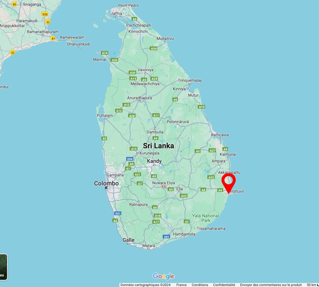 carte arugam bay pottuvil