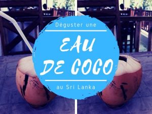 Eau de coco au Sri Lanka