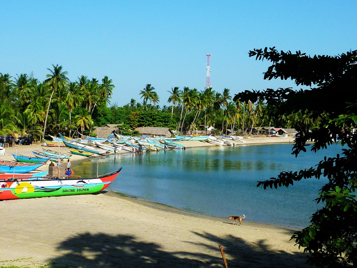 baie d'arugam au sri lanka
