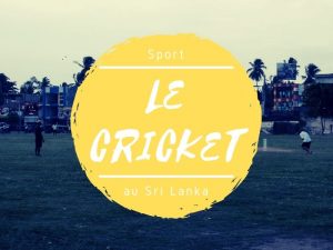 Le sport cricket au Sri Lanka