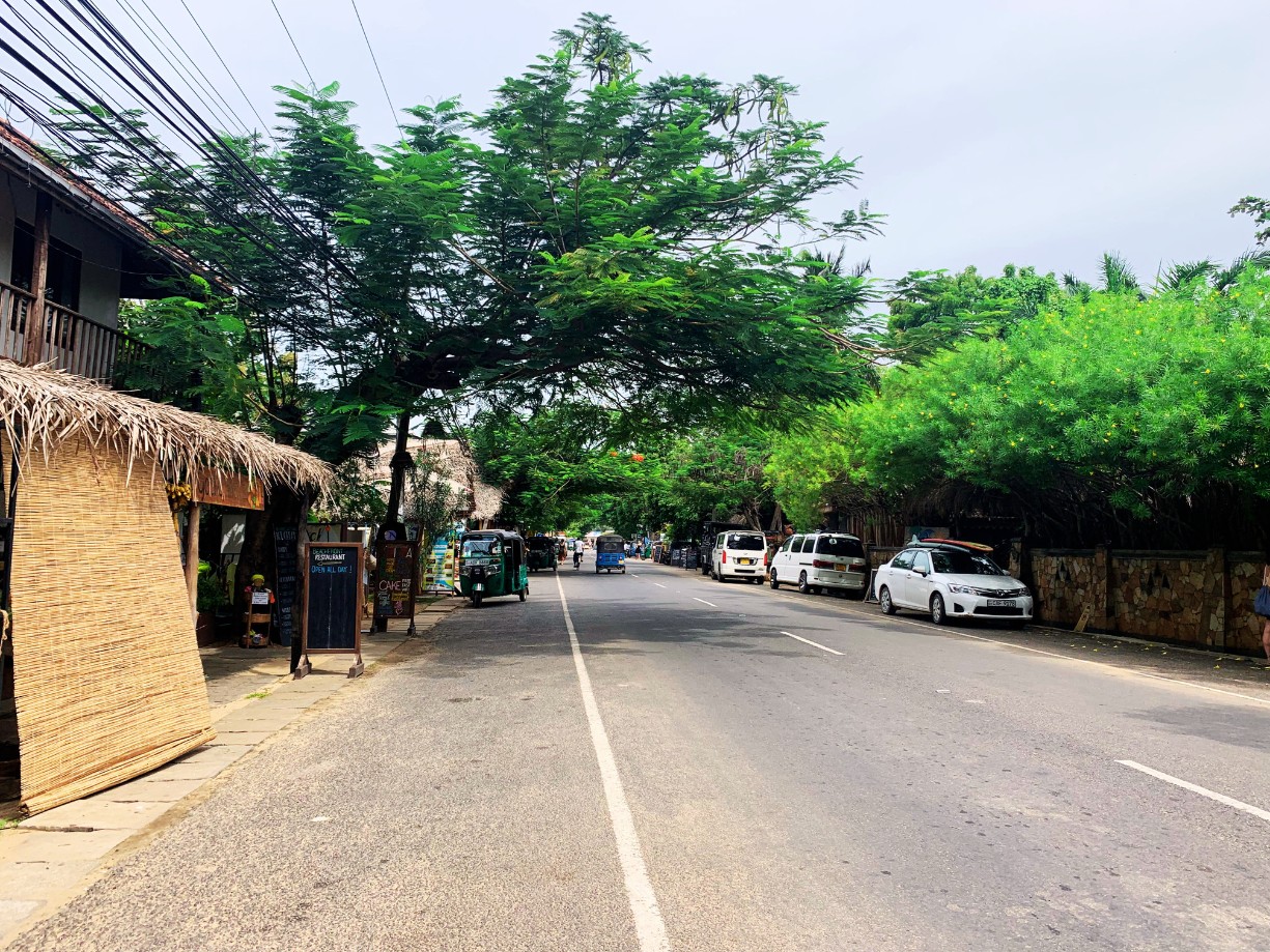 village arugam bay