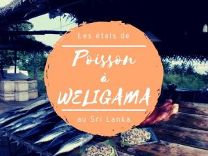 Les étals de poisson à Weligama au Sri Lanka