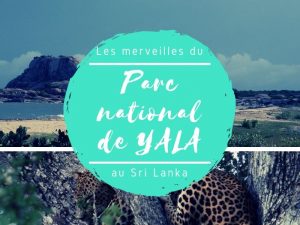 Parc national de Yala au Sri Lanka