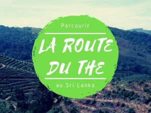 Sur la route du thé au Sri Lanka