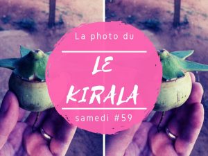 Photo du samedi le Kirala au Sri Lanka