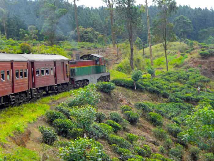 train montagnes au sri lanka train montagnes plantations de thé