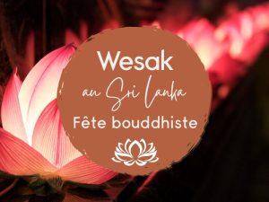 vesak au sri lanka la fête bouddhiste