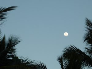pleine lune ou poya en mai