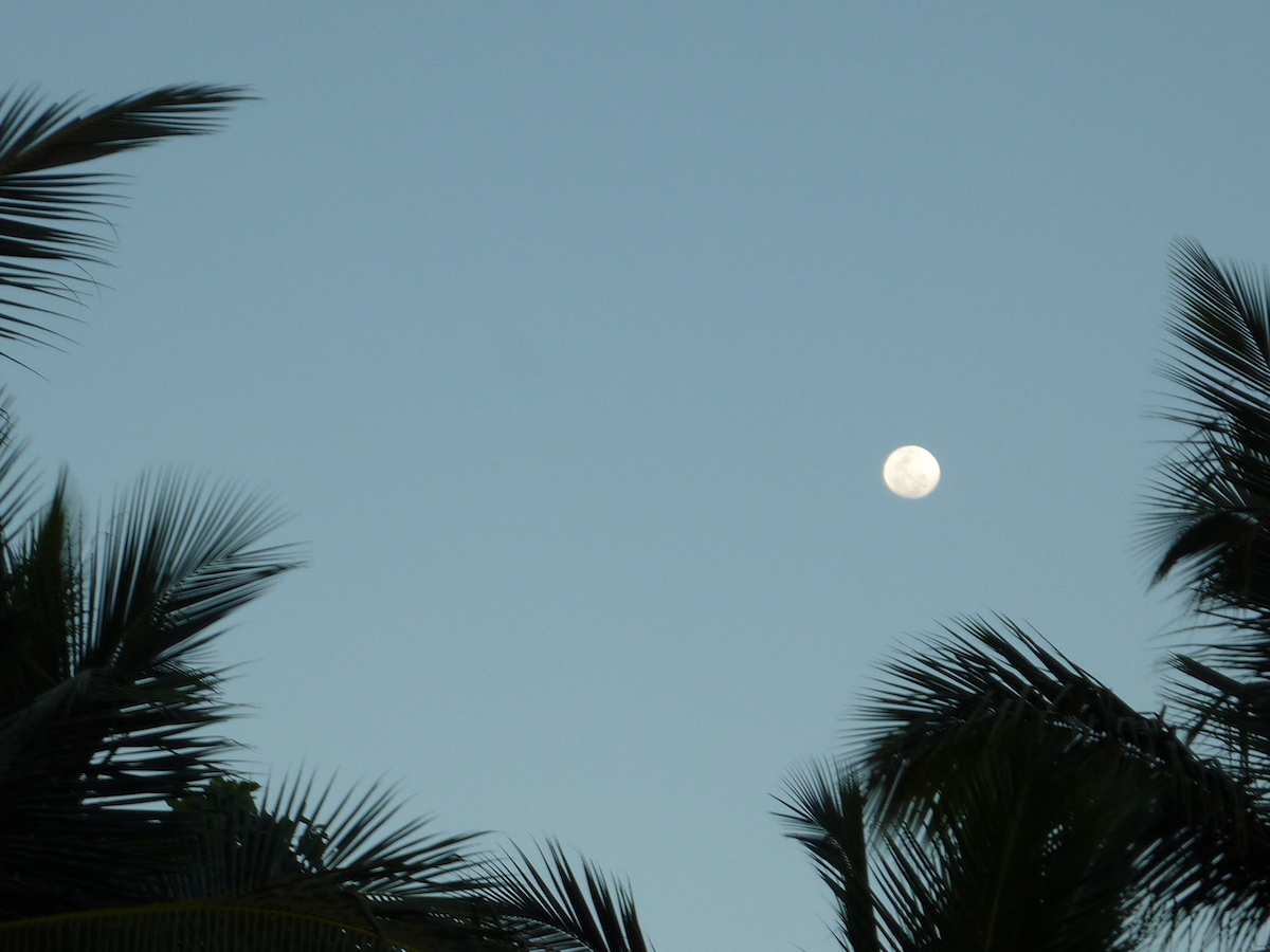 pleine lune ou poya en mai
