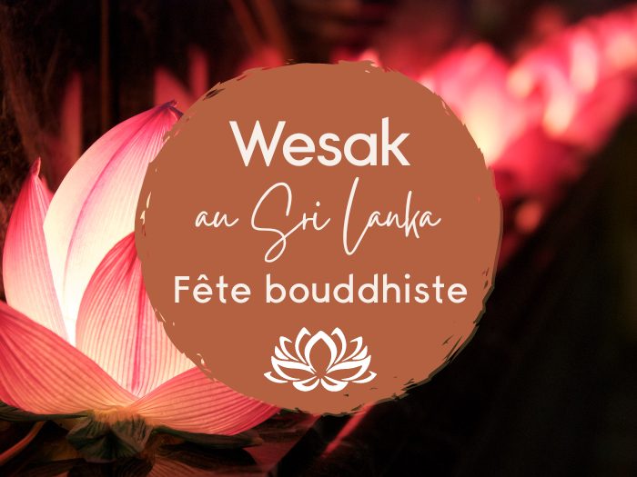 vesak au sri lanka la fête bouddhiste