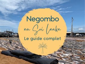negombo au sri lanka