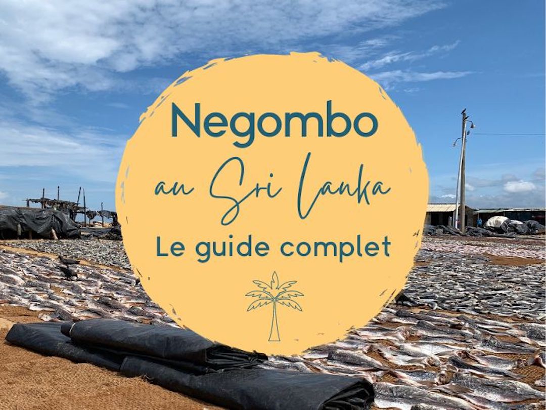 negombo au sri lanka