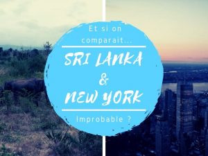 Les points communs improbables entre Sri Lanka et New York
