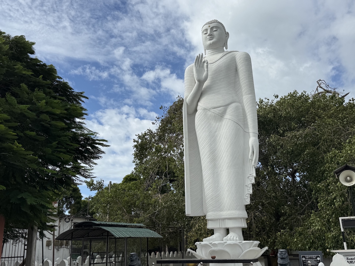 bouddha kalpitiya village