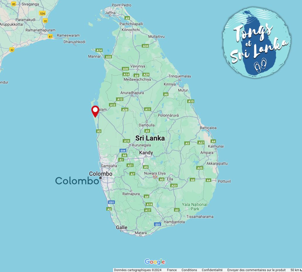 carte kalpitiya sri lanka