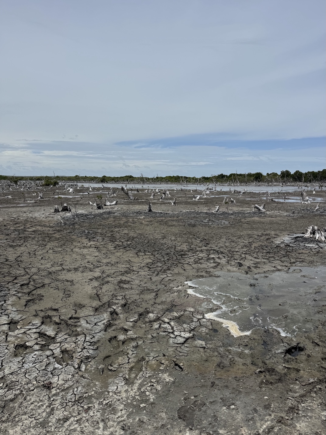 desert lagune kalpitiya