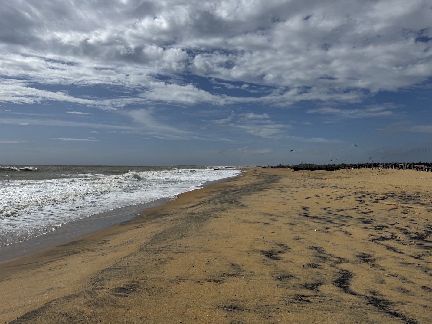 plage turtle element kalpitiya