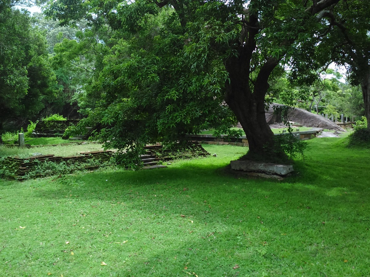 nature anuradhapura