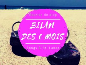 Bilan des 6 mois de la reprise du blog Tongs & Sri Lanka