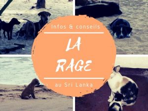 Infos & conseils sur la rage au Sri Lanka