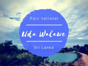 Uda Walawe parc national