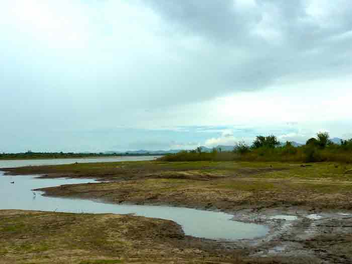 uda-walawe-paysage uda-walawe-paysage