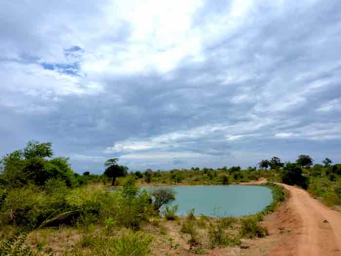 uda-walawe udawalawe