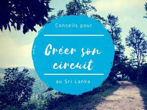Créer son itinéraire et son circuit au sri lanka