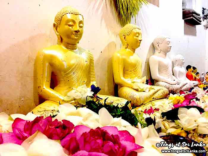 Offrandes à Bouddha au Sri Lanka Offrandes à Bouddha au Sri Lanka