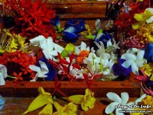 offrandes bouddhistes par Tongs et Sri Lanka