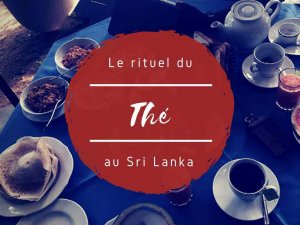 Thé au Sri Lanka