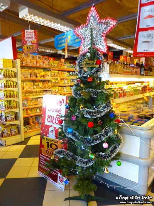 Sapin de Noël au Sri Lanka Sapin de Noël au Sri Lanka