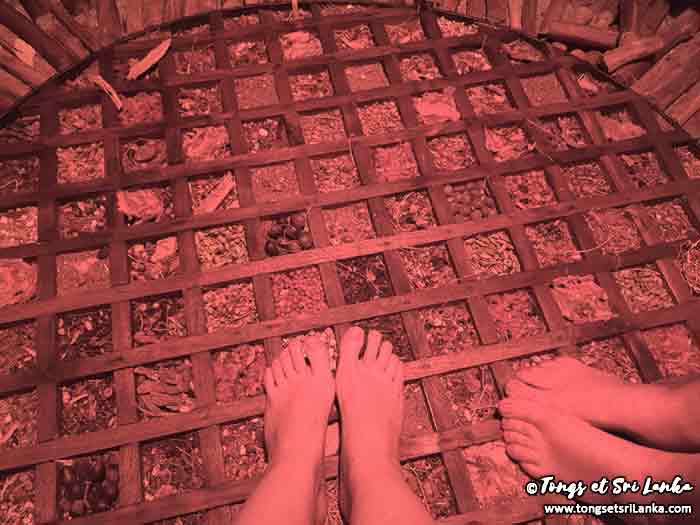 spa ayurvedique au sri lanka par tongs et sri lanka