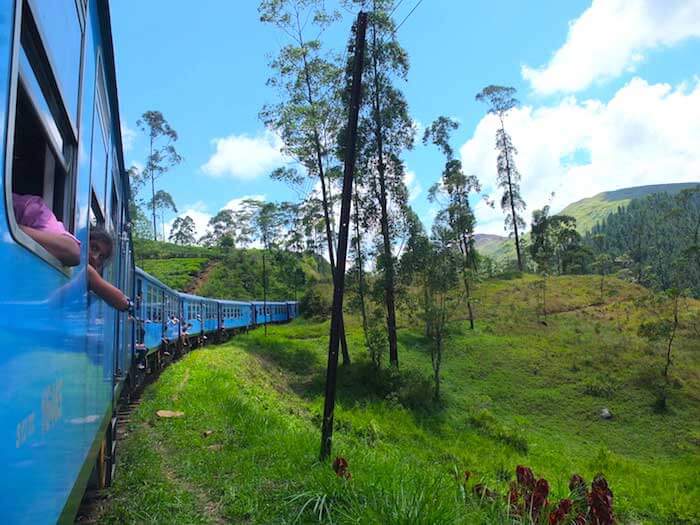 train dans les plantations de thé au Sri Lanka