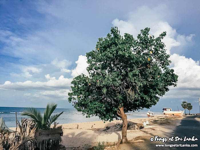 le-phare-de-Kankesanthurai-vers-jaffna-au-sri-lanka