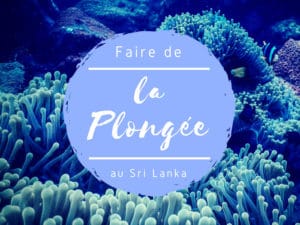 plonger au sri lanka