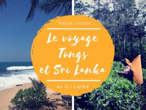 circuit individuel tongs et sri lanka