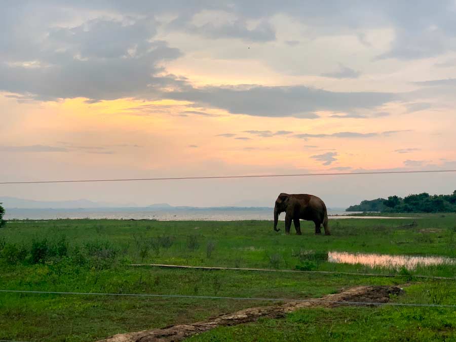 voyager au sri lanka