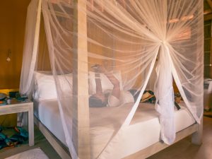 arugam bay jetwing surf chambre